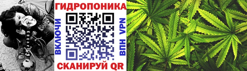 Купить наркотик аптеки Новошахтинск ГЕРОИН  АМФЕТАМИН  OMG ONION  ГАШИШ  КОКАИН  МЕФ  Каннабис  СОЛЬ 