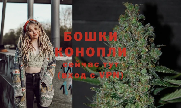 ALPHA PVP Алексеевка