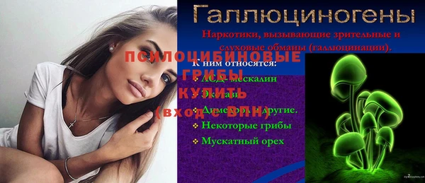 прущие грибы Алексин