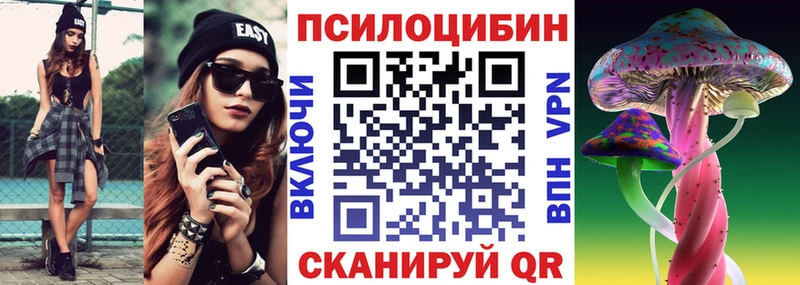 Галлюциногенные грибы GOLDEN TEACHER Новошахтинск