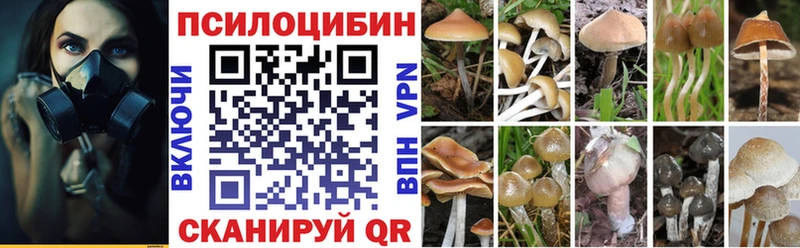 Псилоцибиновые грибы GOLDEN TEACHER Новошахтинск